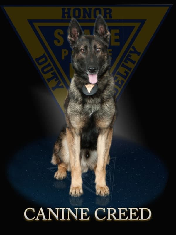 NJSP: Suspect Stabs Police K9, Hits Trooper With Flashlight During South Jersey Pursuit