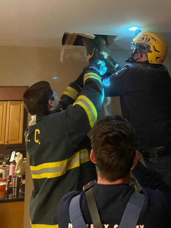 ‘Eight Lives Left:’ Crews Save Curious Cat Trapped In Hunterdon County Heating Duct