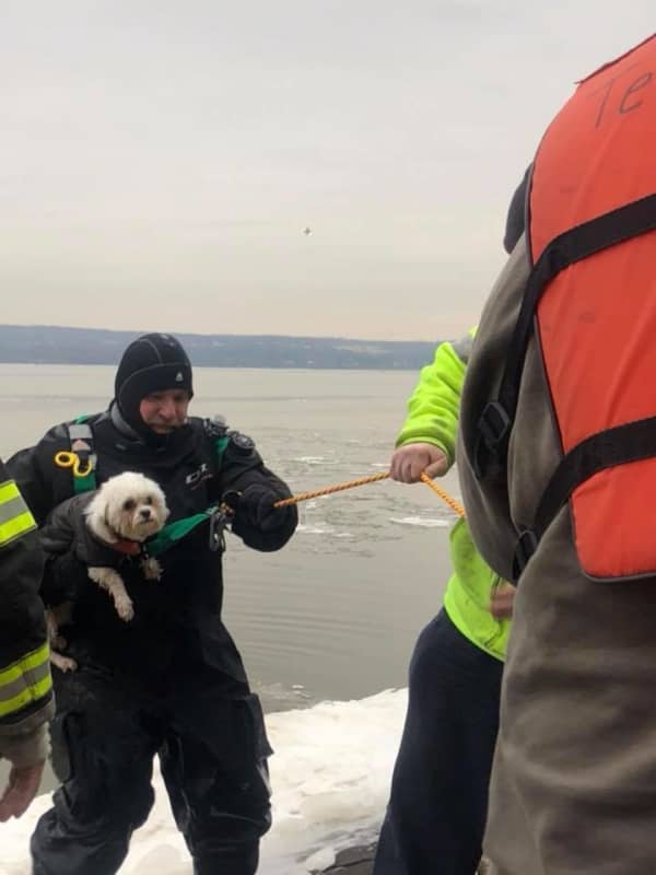 Firefighters Rescue Dog From Icy Waters Near Nyack Beach
