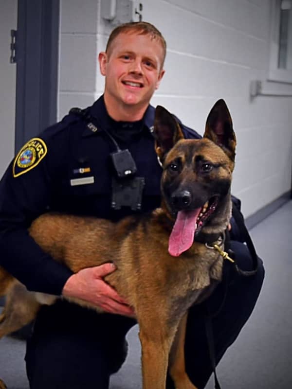 Town Of Ulster PD Welcomes New K-9 Officer From Europe