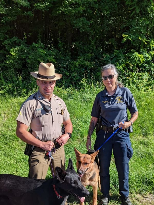 Maryland State Police Trooper Rescues German Shepherds On I-95