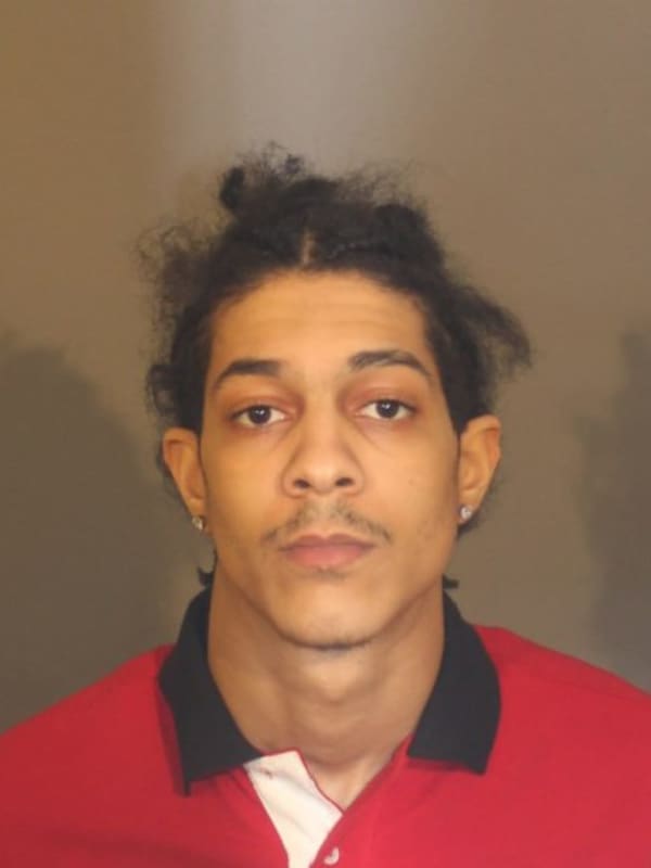 Pair Face Drug Charges In Stop By Danbury Police, K-9