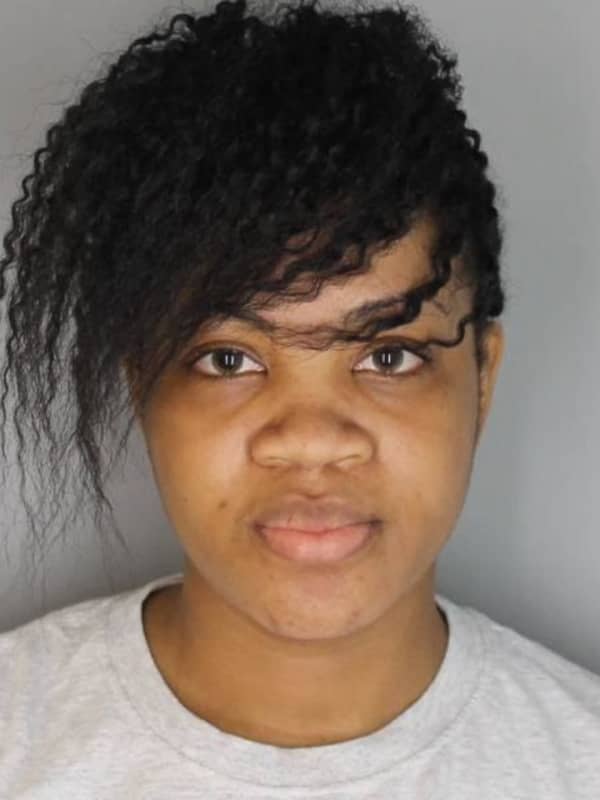 Woman Guilty Of Burglarizing Homes In Three Counties While Families Were At Funeral Services
