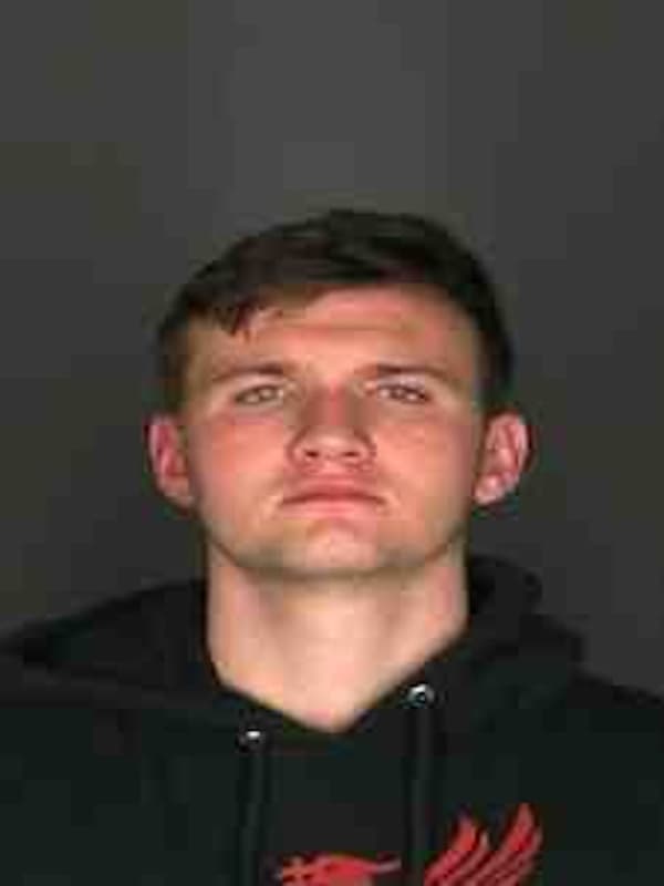 Scarsdale Man Charged With DWI After Crashing Into Hedges, Tree, Police Say