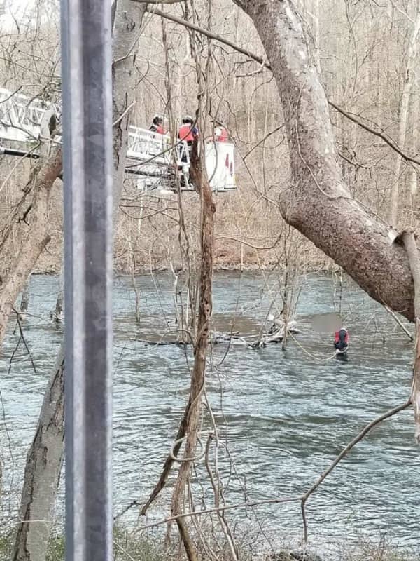Man Clinging To Branch After Trying To Save Dog Rescued From Croton River