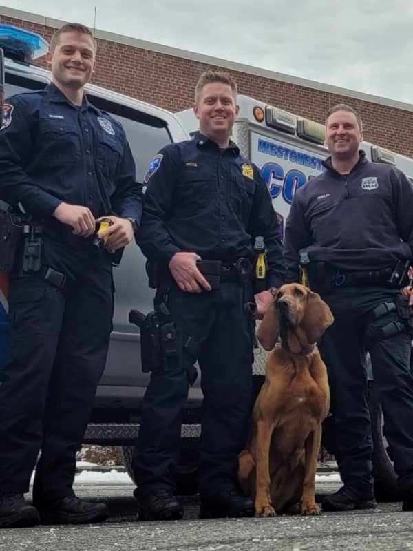 Multi-City Chase: 5 Armed Robbery Suspects Caught By K-9 Unit, Police In Hudson Valley