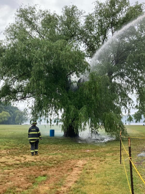 Shock Of Lightning: Storm Ignites Tree In Croton-On-Hudson Park