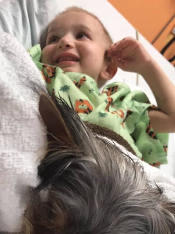 Puppy Store Donates Yorkie To Little Ferry Boy In Hospital After Scam