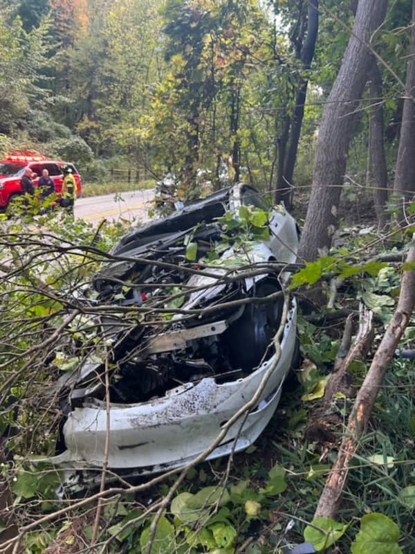 Fire Risk: Electric Car Carefully Removed From Woods After Crashing, Flipping In Westchester