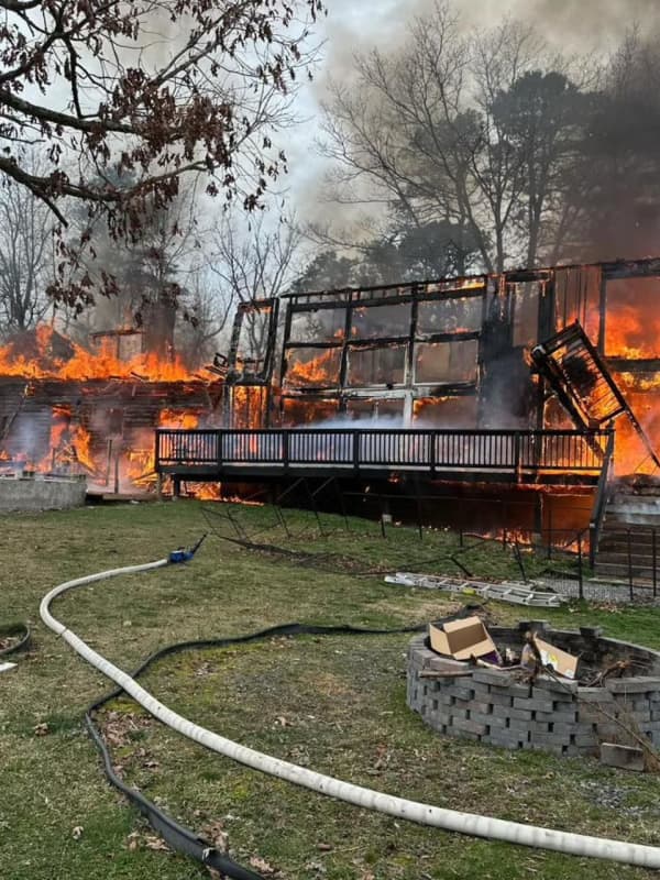 French Bulldogs, Puppies Killed In Egg Harbor Township House Fire: Campaign