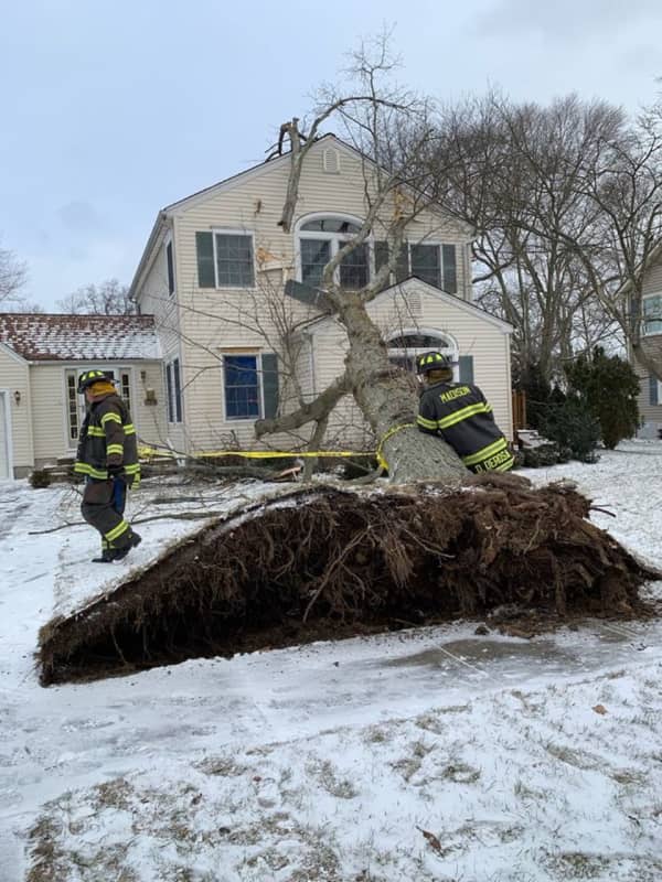 CLOSE CALL: Tree Falls On Madison House