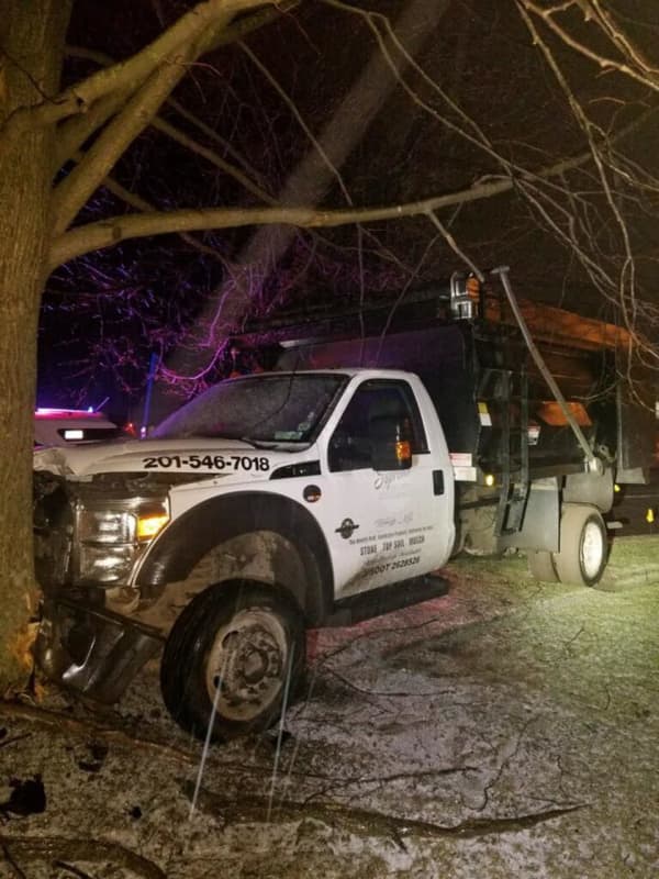 Drunk Driver Crashes Stolen Truck Into Tree In Area, Police Say