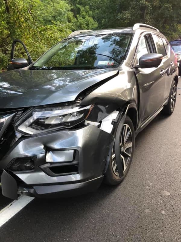 Car Crashes Into Bear On Route 202 In Ramapo