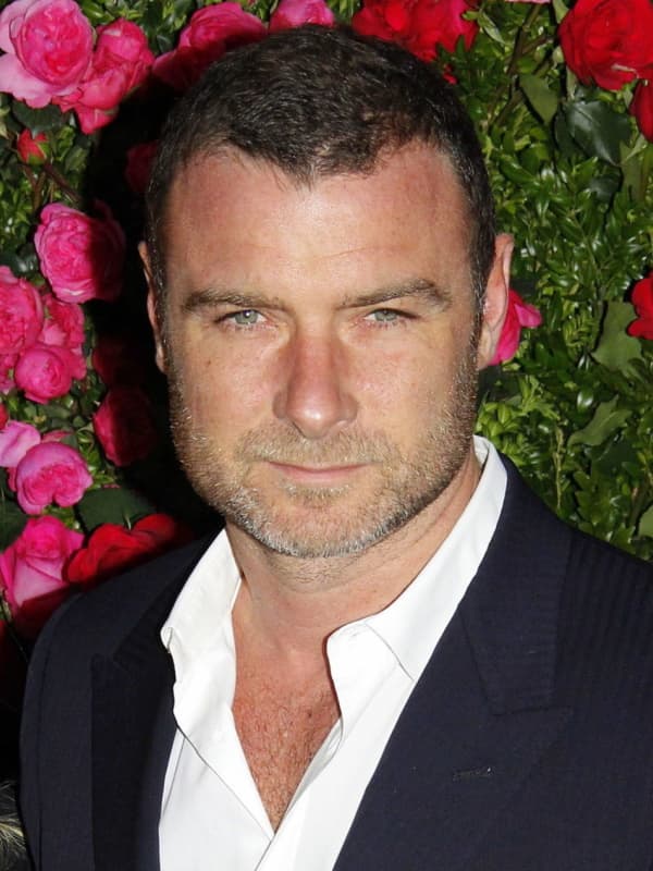 Nyack Photographer Sues Actor Liev Schreiber A Second Time