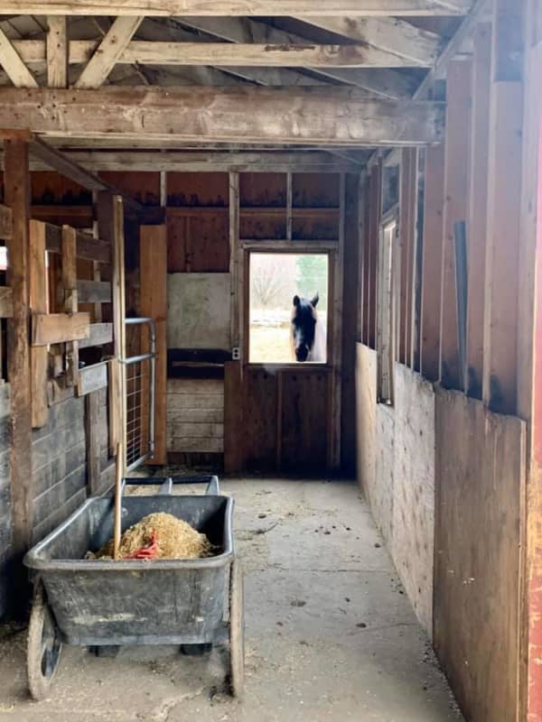 Responders: Man Loses Fingers In Table Saw Accident At Mahwah Horse Rescue
