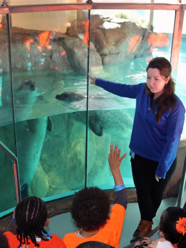 Norwalk's Maritime Aquarium Gets $50,000 Grant From Newman’s Own Foundation