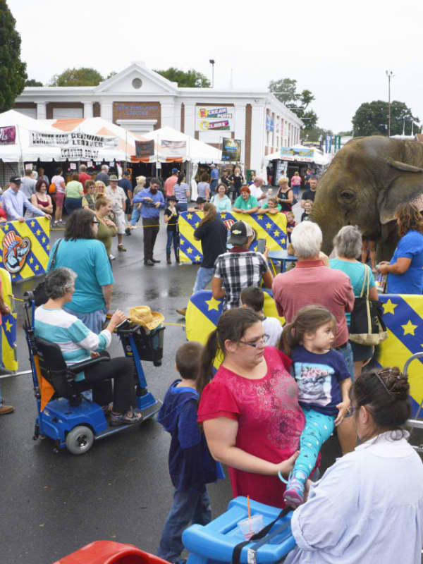 Beloved Elephant At Connecticut Fairs Dies At 54