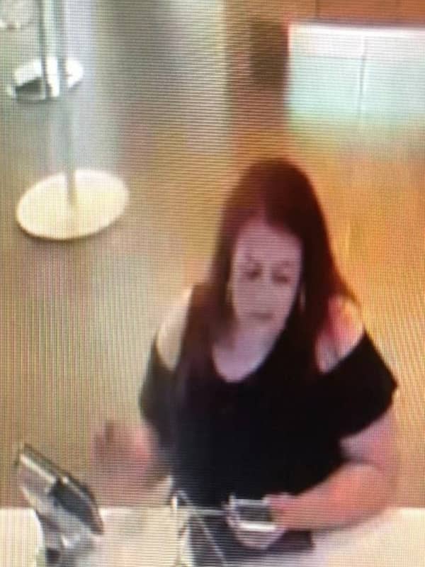 Know Her? State Police In Somers Seek Info On Grand Larceny, ID Theft Case