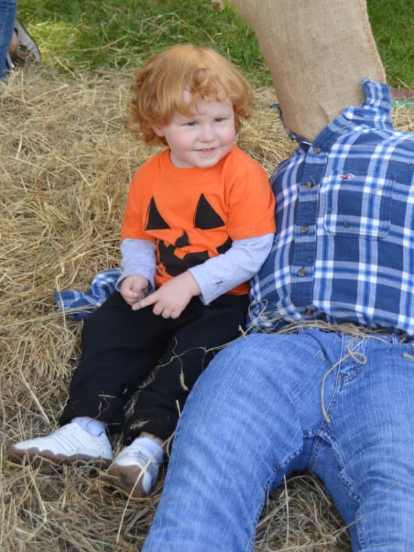 Shelton's Oronoque Farms Celebrates Fall By Stuffing Scarecrows