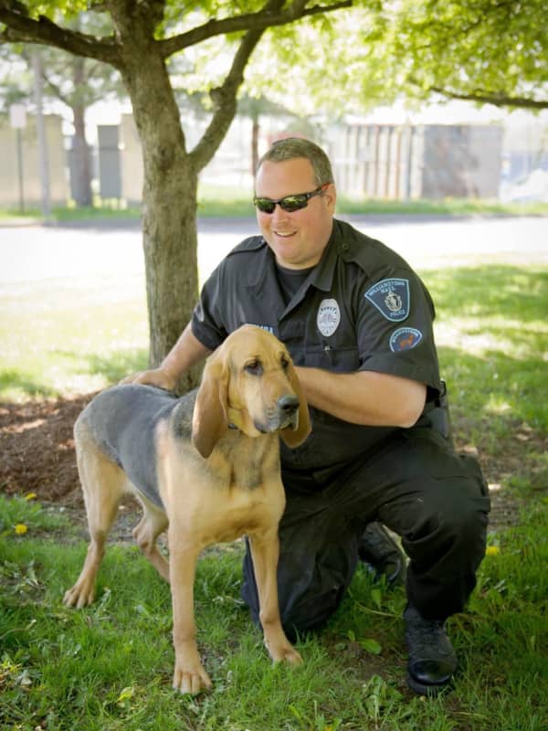 Williamstown Police Announce Death Of Retired K9 'Daisy'