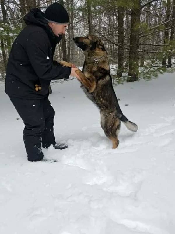 Police K9 Finds PA Man Lost In Michigan Woods In Below Freezing Temperatures
