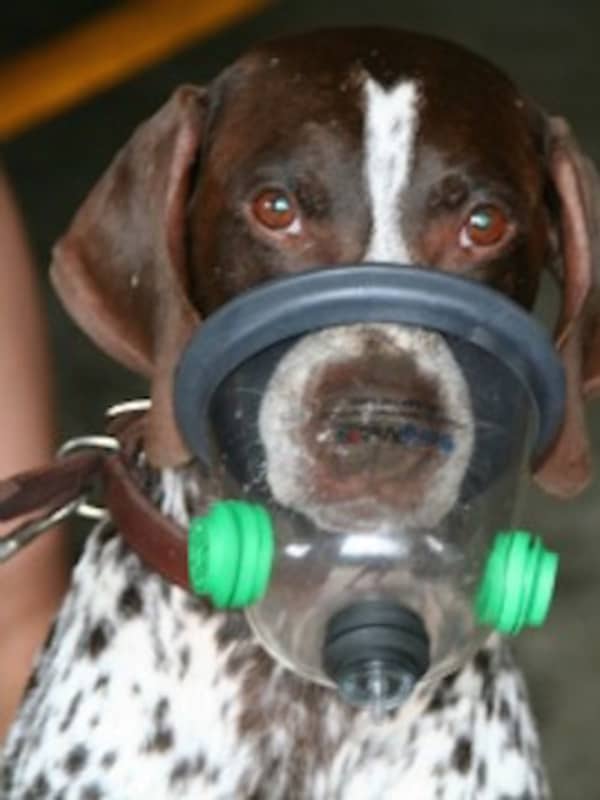 Passaic County Sheriff's Department K9 Unit Seeks Pet Oxygen Masks