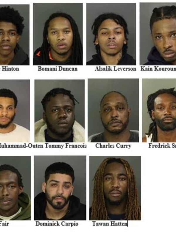 ROUNDUP: 19 Weapons Seized, 12 Arrested In Newark
