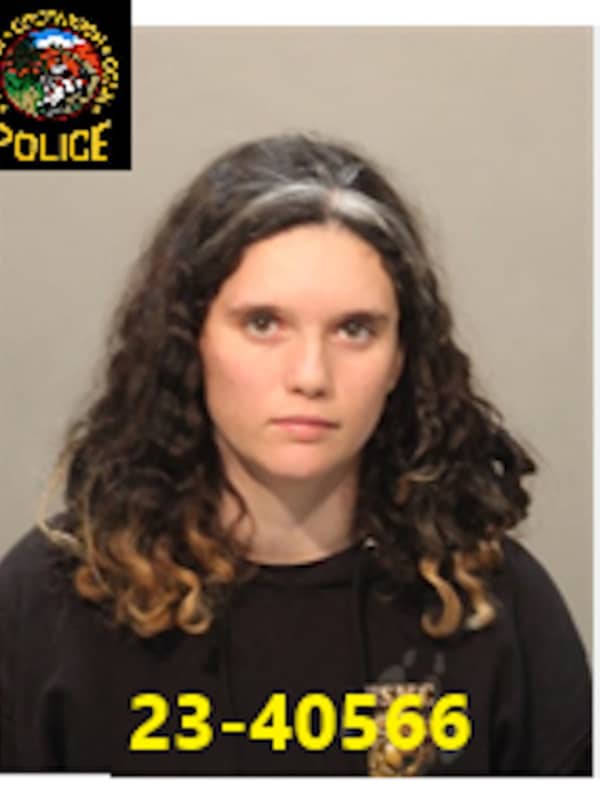 Greenwich Woman Accused Of Sending Explicit Texts On Ways To Kill Her Mom