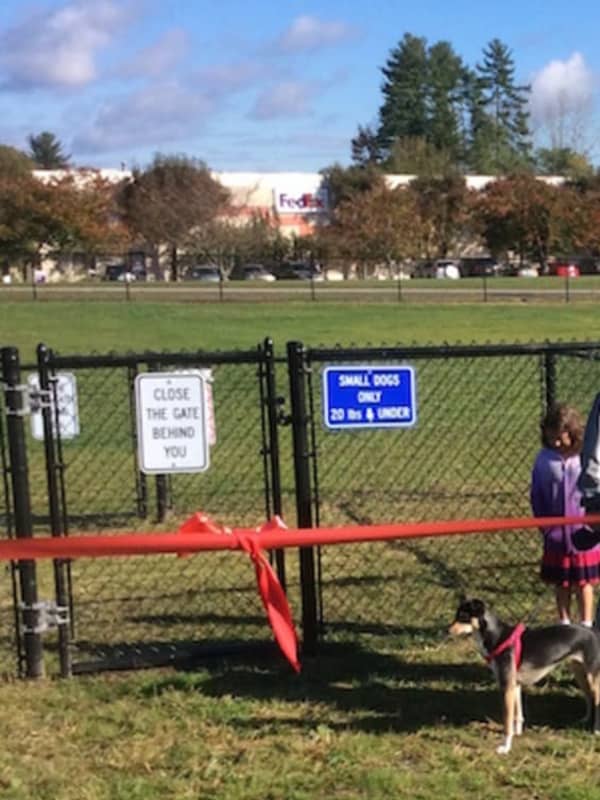 Parade Of Pups Lines Up As Danbury Officially Opens New Bark Park