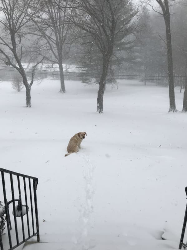 Frightful Or Delightful? Blustery Winter Storm Whips Through Greenwich