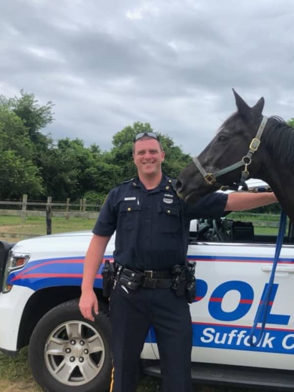 Horse Rescued After Wandering Onto Sunrise Highway, Police Say