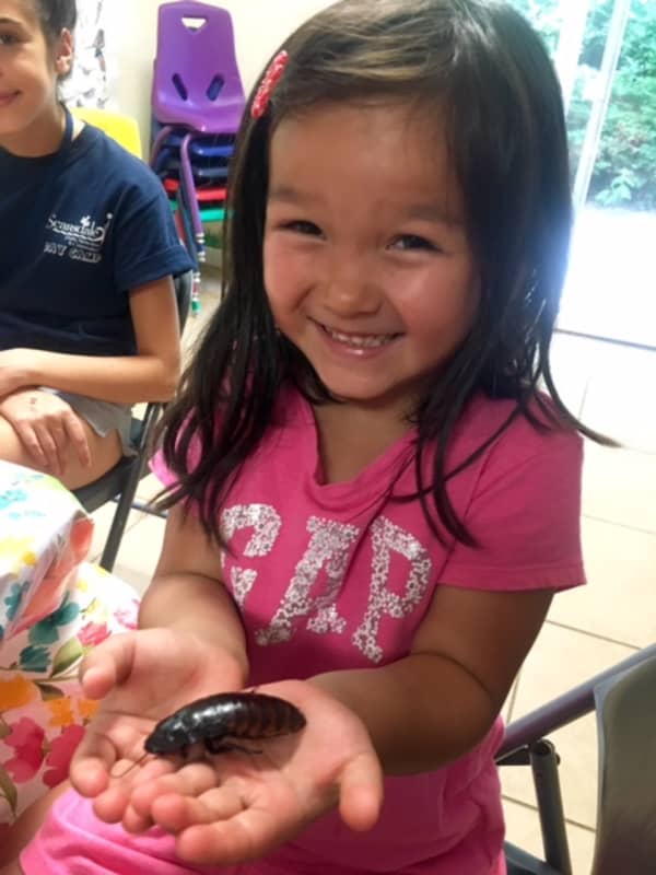 Scarsdale Campers Discover Butterflies At Weinberg Nature Center