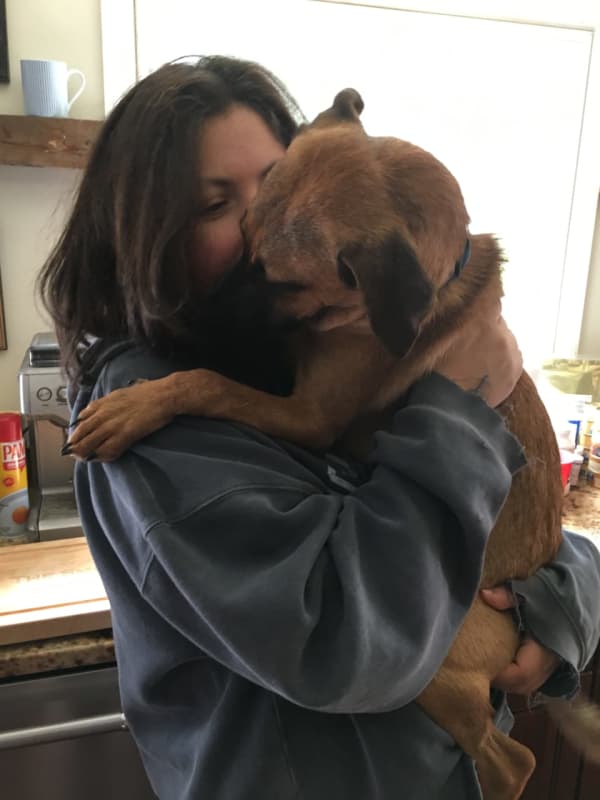A Good Dog Rescue's Lisa Smith Is A Dog's Best Friend