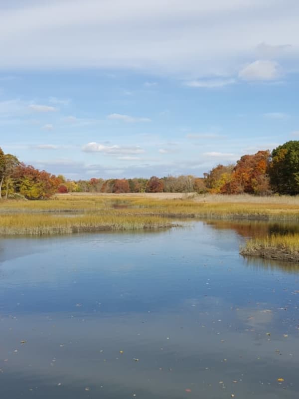 Westchester Group Wins Grant For Mamaroneck Preserve Project