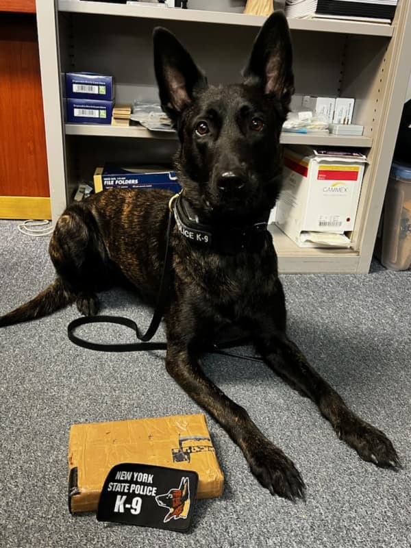 K9 Helps Sniff Out Kilogram Of Cocaine During Westchester Traffic Stop: Police