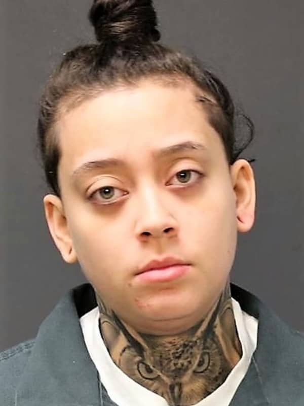 Fair Lawn PD: Woman Wanted On Warrant Kicks, Spits On Police, Damages Cruiser On Route 208
