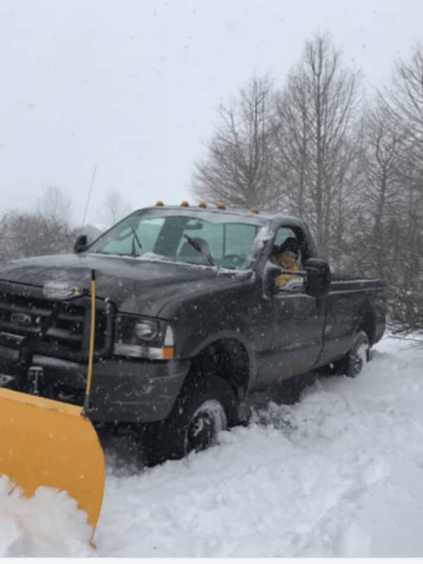 Northern Westchester Resident Martha Stewart Tweets For Snow Help