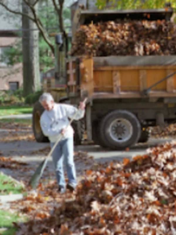 Bagged Leaf Collection Will Resume April 3 In Stratford