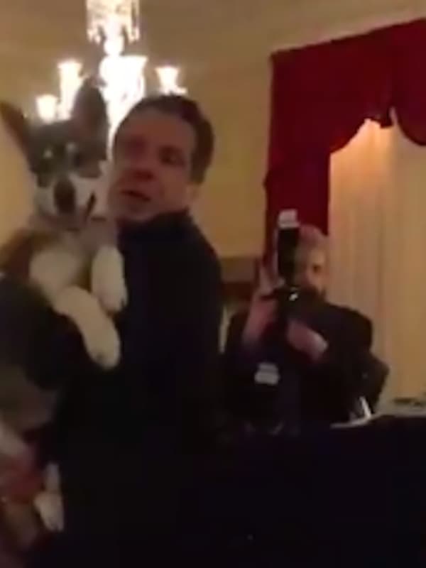 New Dog Making A Mess Of Things In Governor's Mansion, Cuomo Says