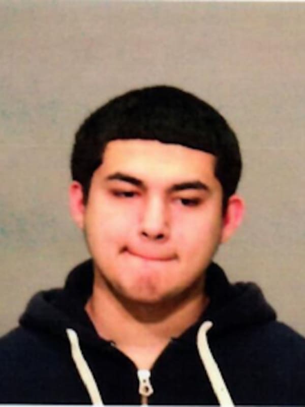 Westchester Teen Arrested For Dragging Dog With Car