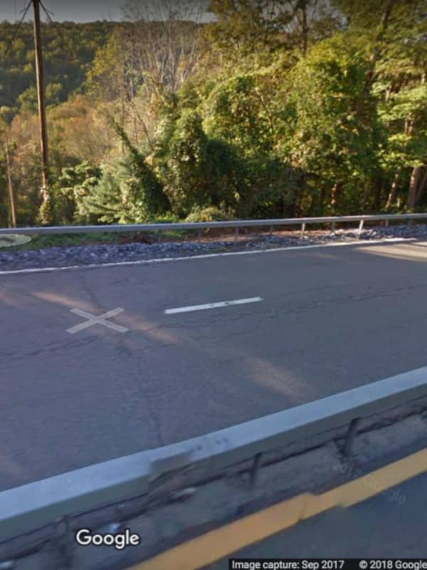 Bear, Cub Found Dead On Taconic State Parkway