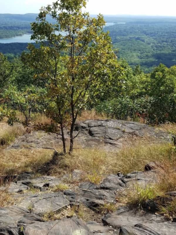 Crews Battling Elements In Search For Injured Hiker At High Tor State Park