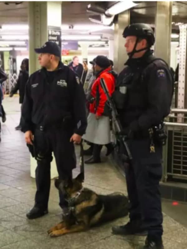 Anti-Terror Training Underway On Hudson Valley Metro-North, Amtrak Lines