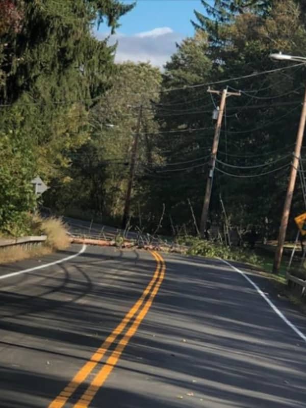 Route 202 Reopens After Downed Tree, Wires Cause Closure