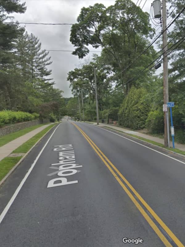 Two Suspects On Loose After Attempted Armed Robbery Of Westchester Woman Walking Dogs