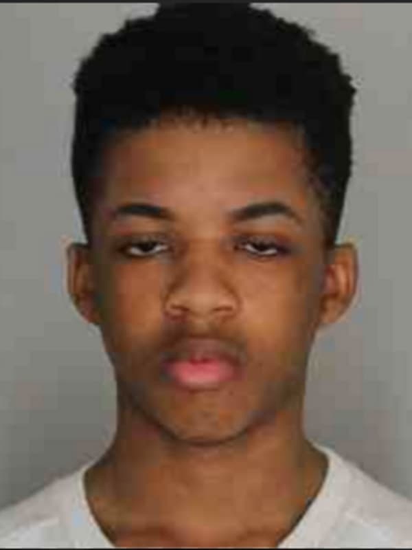 Teen Sentenced For Stalking Westchester Classmate In Incident Resulting In Her Death