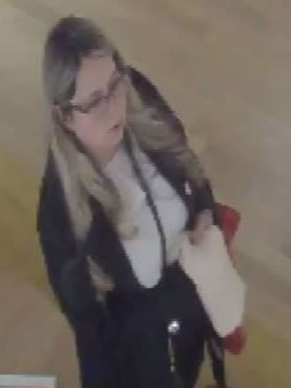 Woman Wanted For Stealing From Long Island Louis Vuitton Store