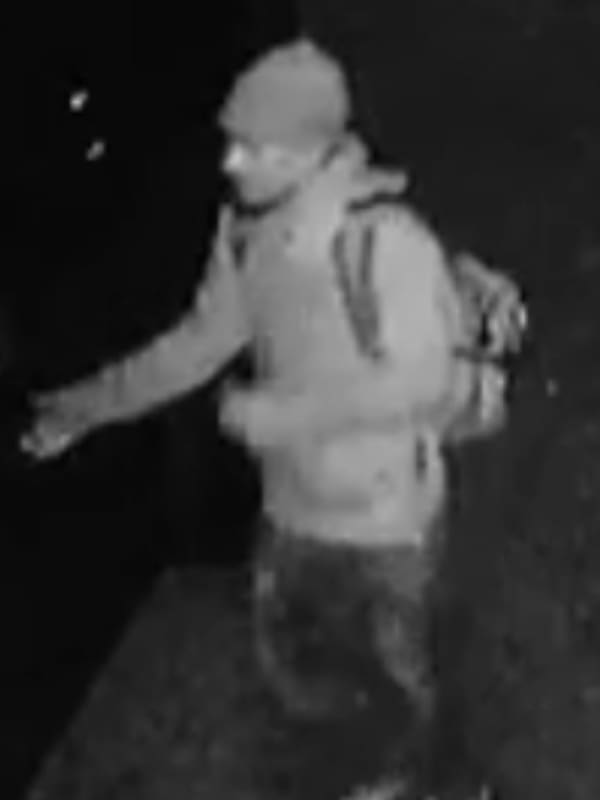 Man Wanted For Stealing Items From Vehicles At Long Island Residence