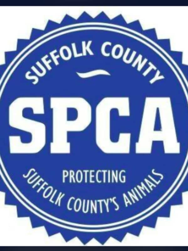Long Island Woman Keeps Dog Outside Despite Warning, SPCA Says