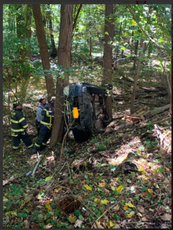 Car Crashes Down Embankment After Woman Swerves To Avoid Deer On Route 202